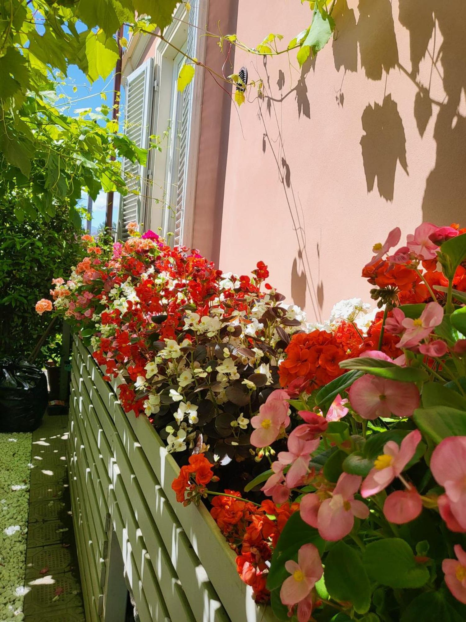 Il Buen Retiro Gasthof Lucca