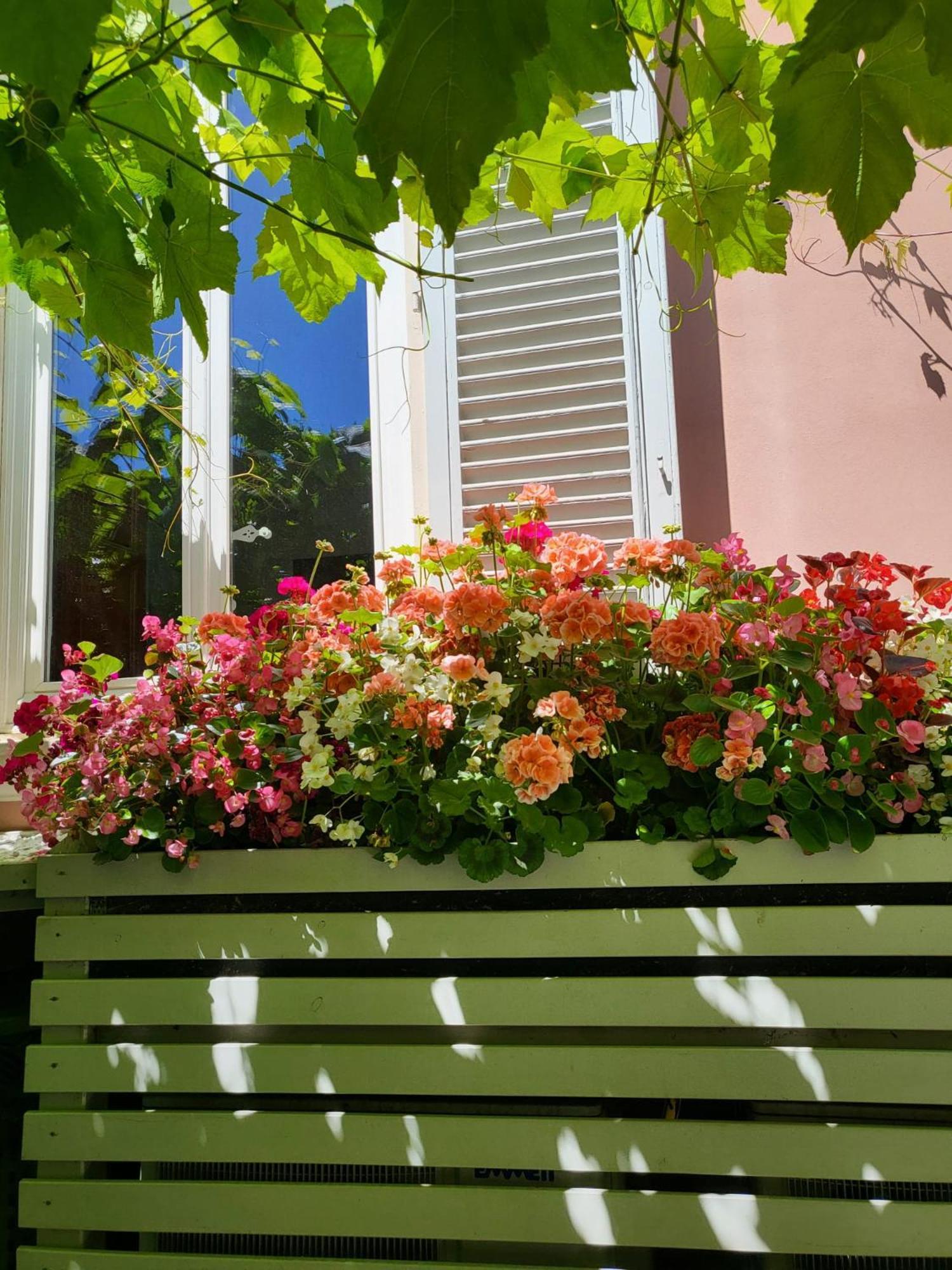 Il Buen Retiro Gasthuis