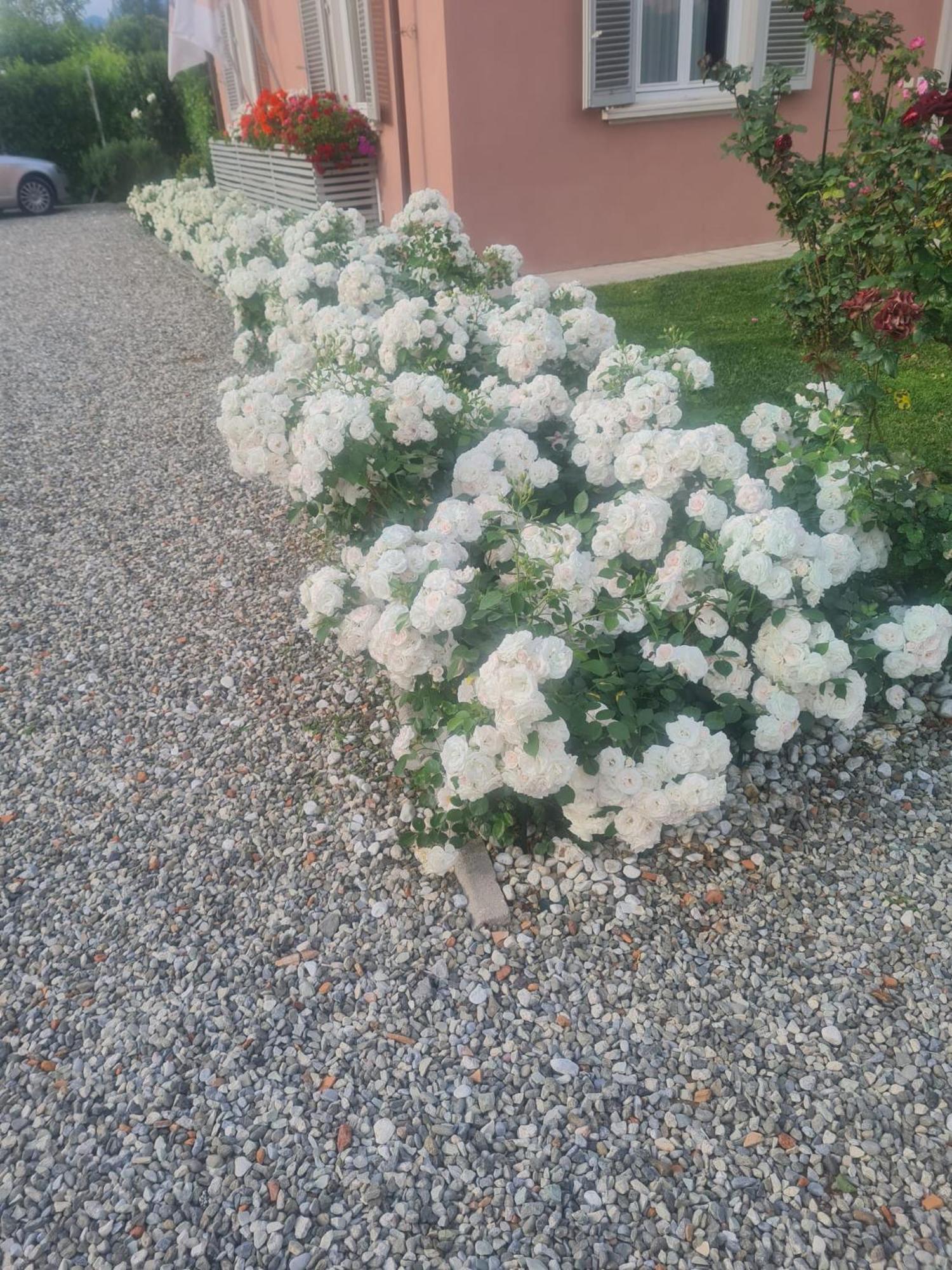 Il Buen Retiro Gasthof